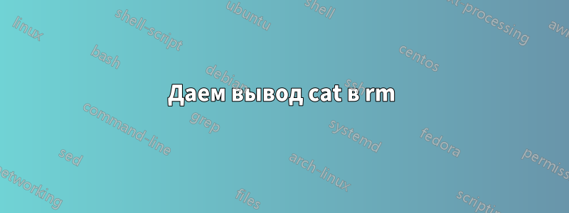 Даем вывод cat в rm