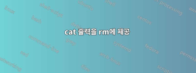 cat 출력을 rm에 제공