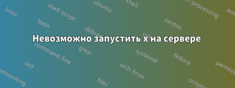 Невозможно запустить x на сервере