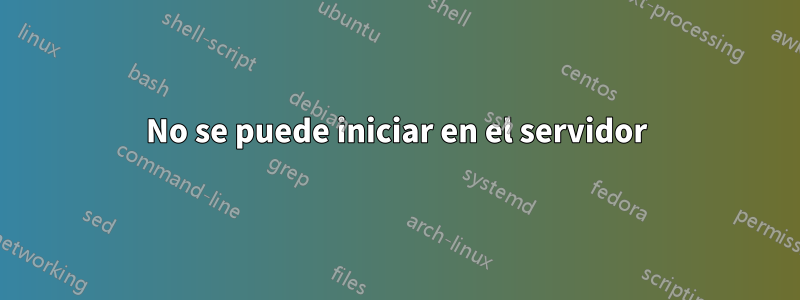 No se puede iniciar en el servidor