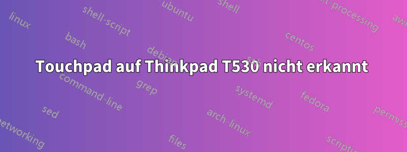 Touchpad auf Thinkpad T530 nicht erkannt