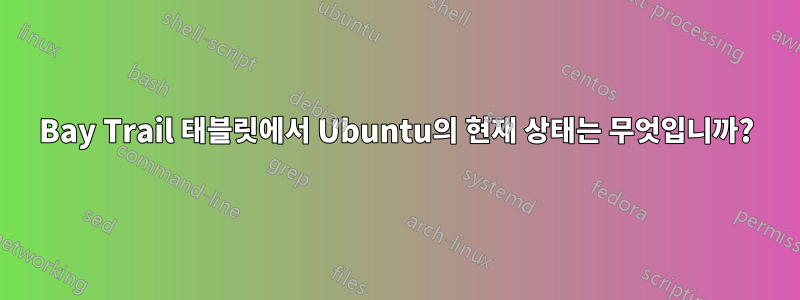 Bay Trail 태블릿에서 Ubuntu의 현재 상태는 무엇입니까?