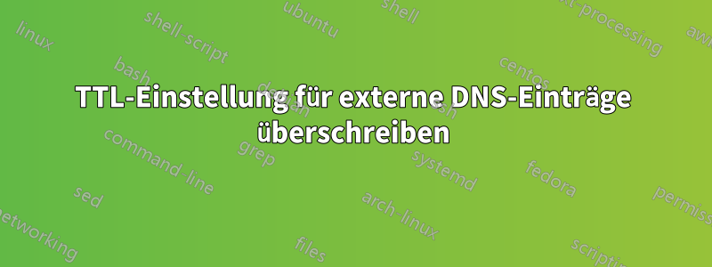 TTL-Einstellung für externe DNS-Einträge überschreiben