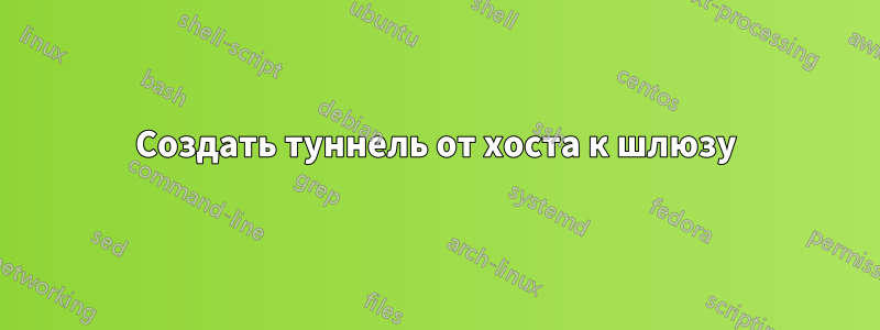 Создать туннель от хоста к шлюзу