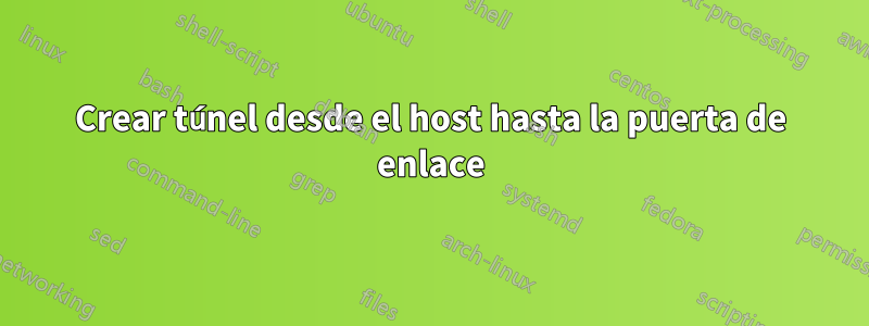 Crear túnel desde el host hasta la puerta de enlace