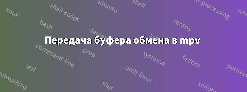 Передача буфера обмена в mpv