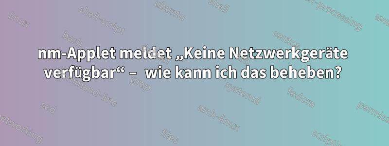 nm-Applet meldet „Keine Netzwerkgeräte verfügbar“ – wie kann ich das beheben?