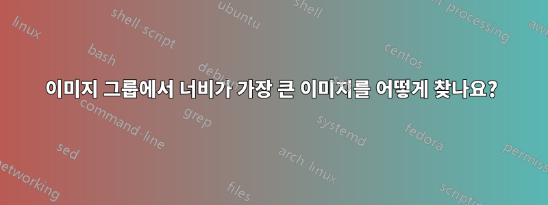 이미지 그룹에서 너비가 가장 큰 이미지를 어떻게 찾나요?