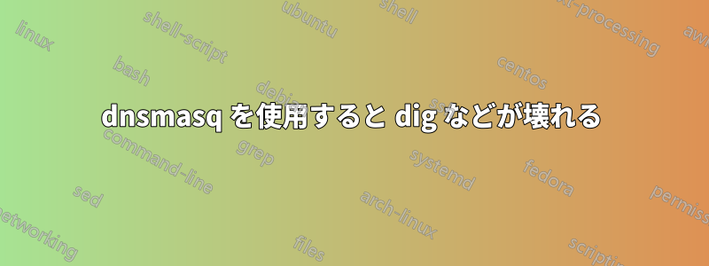 dnsmasq を使用すると dig などが壊れる