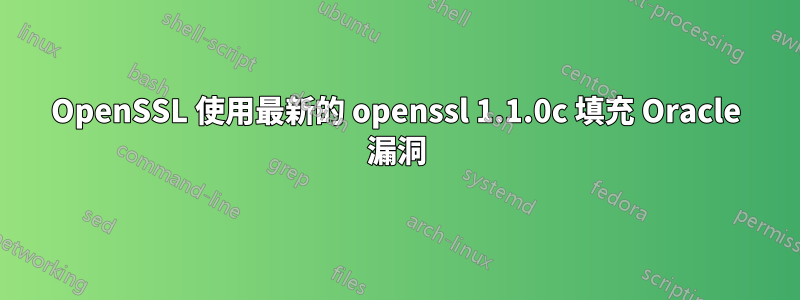 OpenSSL 使用最新的 openssl 1.1.0c 填充 Oracle 漏洞