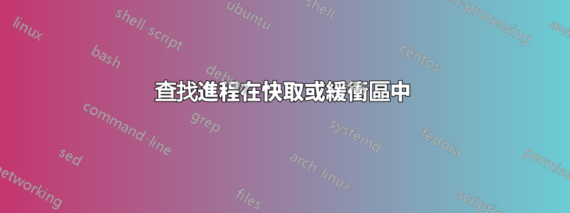 查找進程在快取或緩衝區中