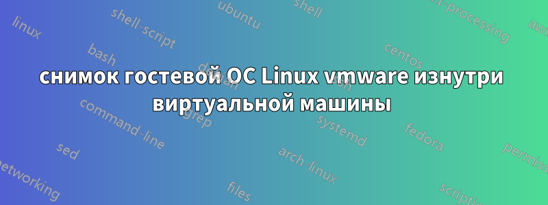 снимок гостевой ОС Linux vmware изнутри виртуальной машины