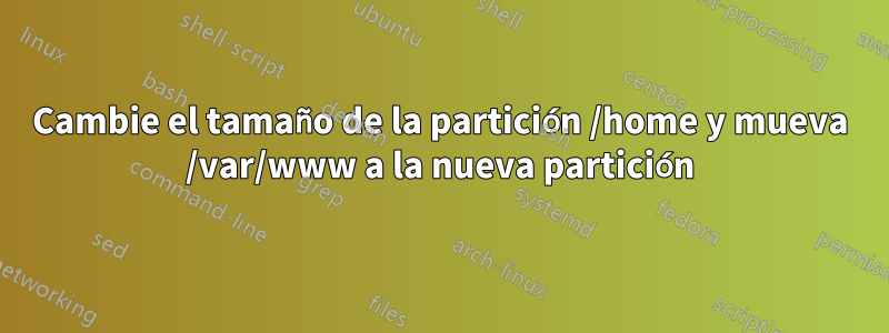 Cambie el tamaño de la partición /home y mueva /var/www a la nueva partición