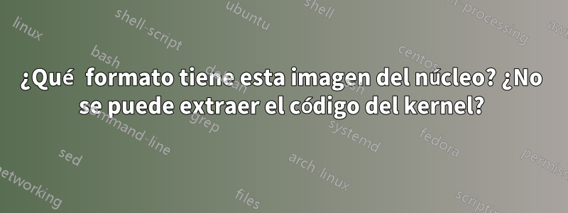 ¿Qué formato tiene esta imagen del núcleo? ¿No se puede extraer el código del kernel?