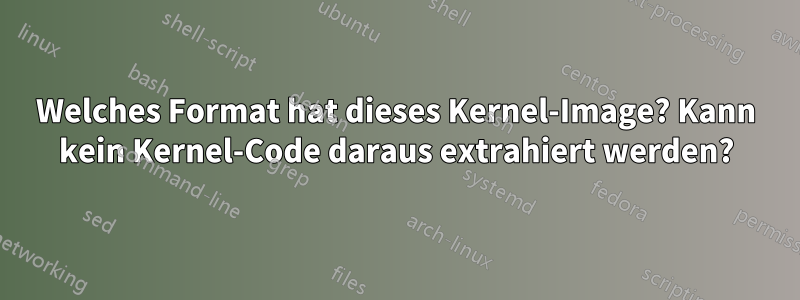 Welches Format hat dieses Kernel-Image? Kann kein Kernel-Code daraus extrahiert werden?