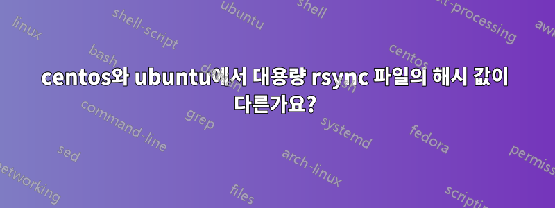centos와 ubuntu에서 대용량 rsync 파일의 해시 값이 다른가요?