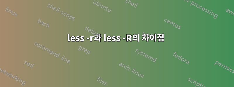 less -r과 less -R의 차이점