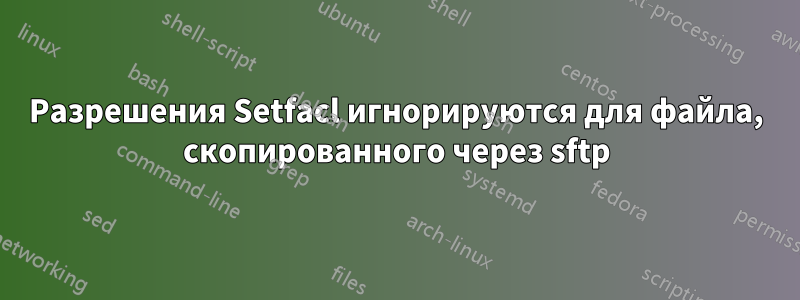 Разрешения Setfacl игнорируются для файла, скопированного через sftp
