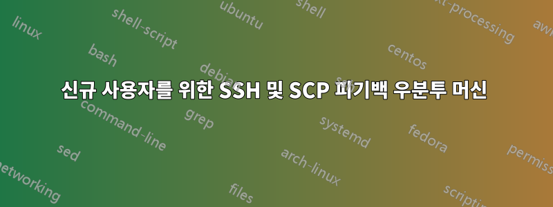 신규 사용자를 위한 SSH 및 SCP 피기백 우분투 머신
