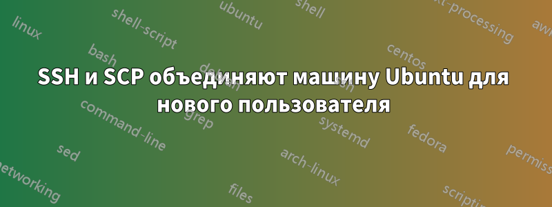 SSH и SCP объединяют машину Ubuntu для нового пользователя