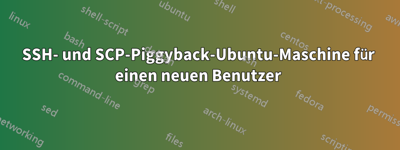 SSH- und SCP-Piggyback-Ubuntu-Maschine für einen neuen Benutzer
