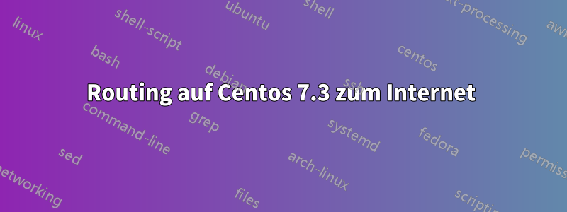Routing auf Centos 7.3 zum Internet