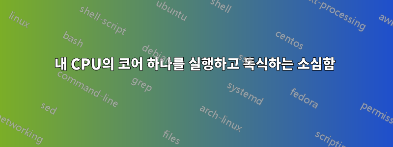 내 CPU의 코어 하나를 실행하고 독식하는 소심함