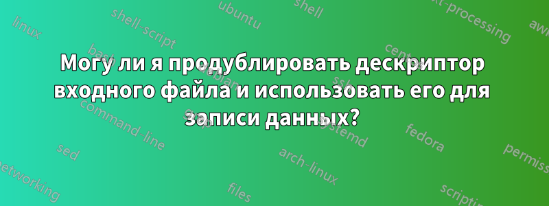 Могу ли я продублировать дескриптор входного файла и использовать его для записи данных?