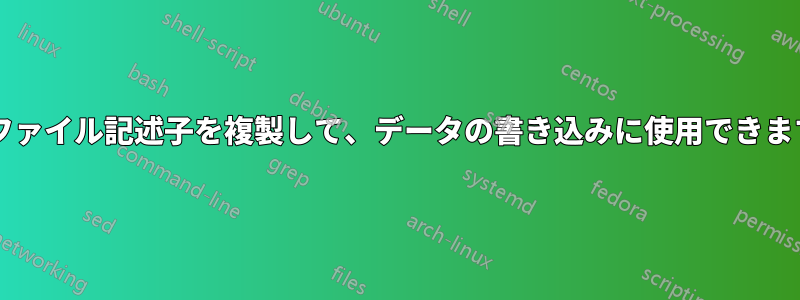 入力ファイル記述子を複製して、データの書き込みに使用できますか?