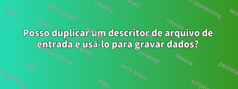 Posso duplicar um descritor de arquivo de entrada e usá-lo para gravar dados?