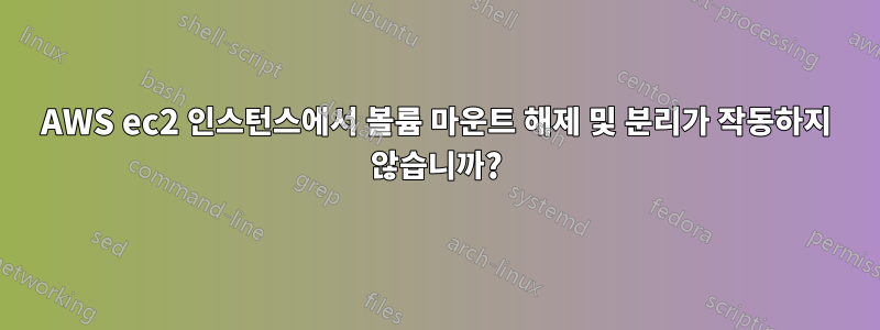 AWS ec2 인스턴스에서 볼륨 마운트 해제 및 분리가 작동하지 않습니까?
