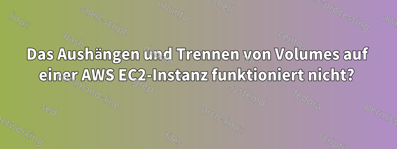 Das Aushängen und Trennen von Volumes auf einer AWS EC2-Instanz funktioniert nicht?