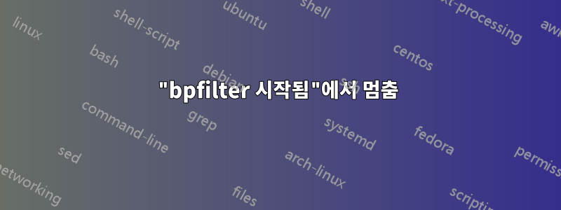 "bpfilter 시작됨"에서 멈춤
