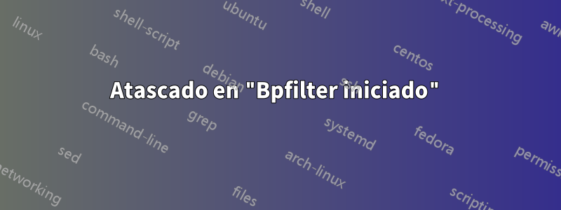 Atascado en "Bpfilter iniciado"