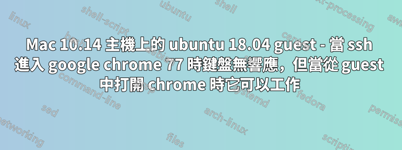 Mac 10.14 主機上的 ubuntu 18.04 guest - 當 ssh 進入 google chrome 77 時鍵盤無響應，但當從 guest 中打開 chrome 時它可以工作