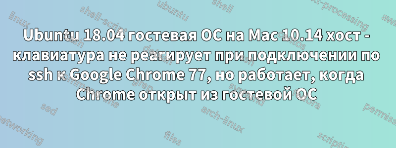 Ubuntu 18.04 гостевая ОС на Mac 10.14 хост - клавиатура не реагирует при подключении по ssh к Google Chrome 77, но работает, когда Chrome открыт из гостевой ОС