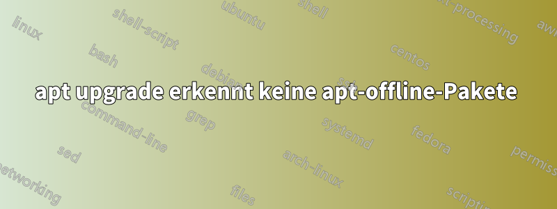 apt upgrade erkennt keine apt-offline-Pakete