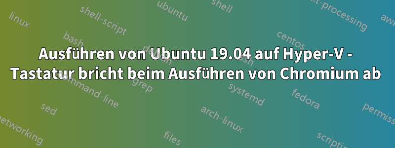 Ausführen von Ubuntu 19.04 auf Hyper-V - Tastatur bricht beim Ausführen von Chromium ab