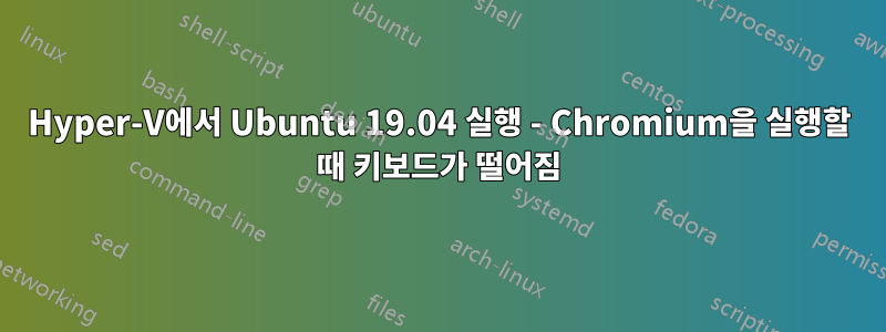 Hyper-V에서 Ubuntu 19.04 실행 - Chromium을 실행할 때 키보드가 떨어짐
