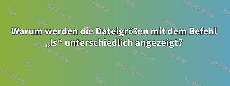 Warum werden die Dateigrößen mit dem Befehl „ls“ unterschiedlich angezeigt?