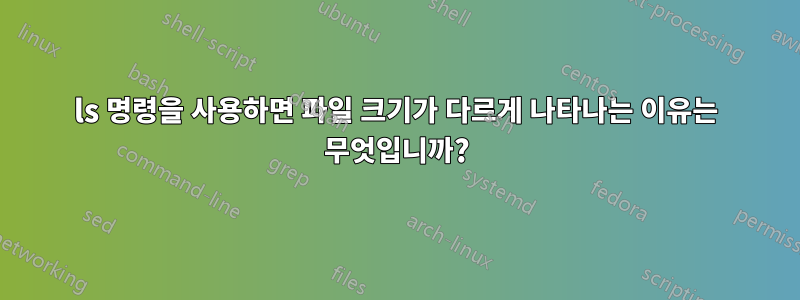 ls 명령을 사용하면 파일 크기가 다르게 나타나는 이유는 무엇입니까?