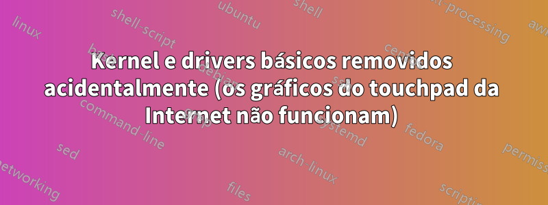 Kernel e drivers básicos removidos acidentalmente (os gráficos do touchpad da Internet não funcionam)