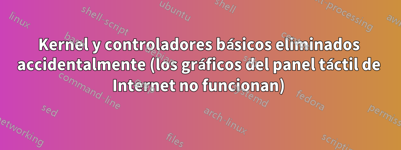 Kernel y controladores básicos eliminados accidentalmente (los gráficos del panel táctil de Internet no funcionan)