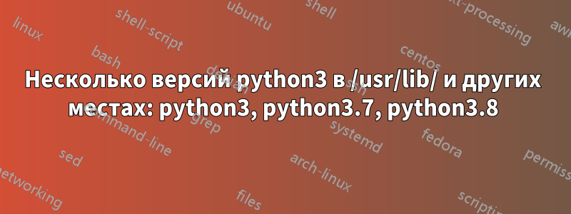 Несколько версий python3 в /usr/lib/ и других местах: python3, python3.7, python3.8