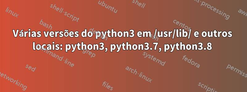 Várias versões do python3 em /usr/lib/ e outros locais: python3, python3.7, python3.8