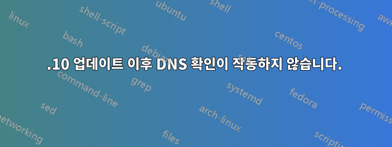 19.10 업데이트 이후 DNS 확인이 작동하지 않습니다.