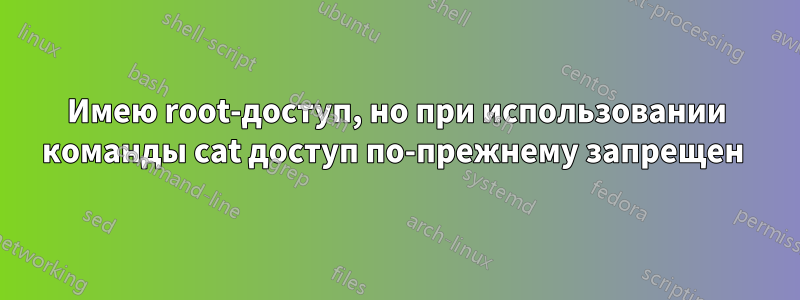 Имею root-доступ, но при использовании команды cat доступ по-прежнему запрещен 