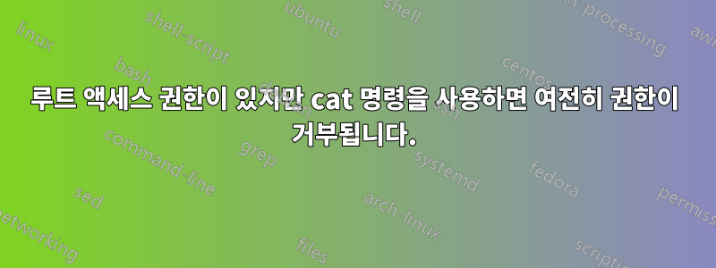 루트 액세스 권한이 있지만 cat 명령을 사용하면 여전히 권한이 거부됩니다.