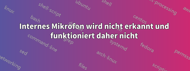 Internes Mikrofon wird nicht erkannt und funktioniert daher nicht