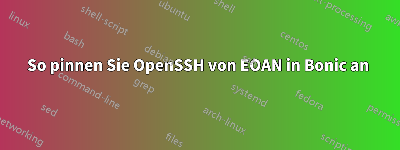 So pinnen Sie OpenSSH von EOAN in Bonic an